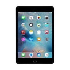 Apple iPad mini 4 (16GB, Wi-Fi, Space Gray)