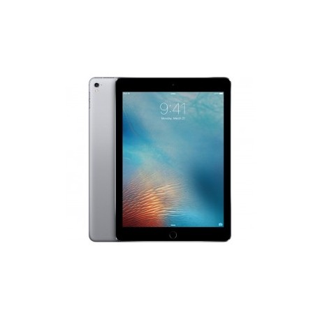 Ipad Pro 12.9 Wi-fi 256GB Space Gray