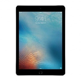 iPad Pro 9.7-inch (256GB, Wi-Fi, Space...