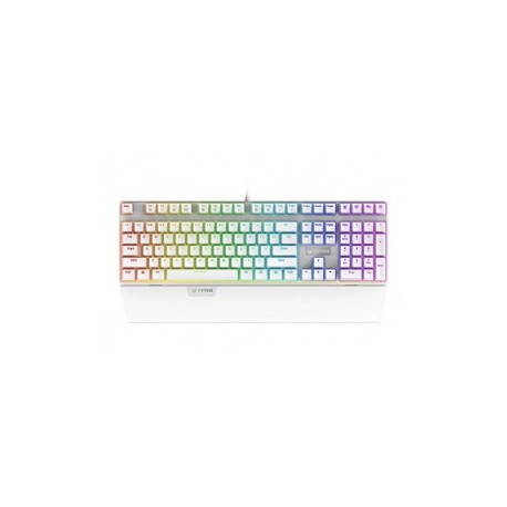 Arion Rapoo V720 RGB Backlit Mechanical...