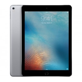 Ipad Pro 12.9 Wi-fi 256GB Space Gray